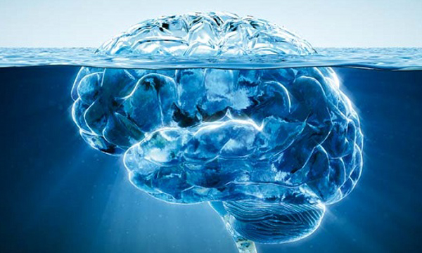 Formation en hypnothérapie éricksonnienne 2018