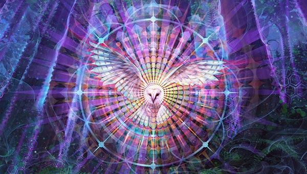 CesHum | Olivier Chambon | Pourquoi j'aime la conscience